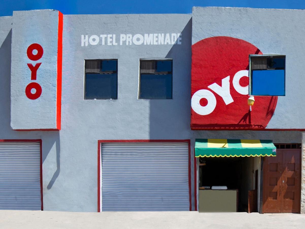 Oyo Promenade,Terminal Central De Autobuses De 과나후아토 외부 사진
