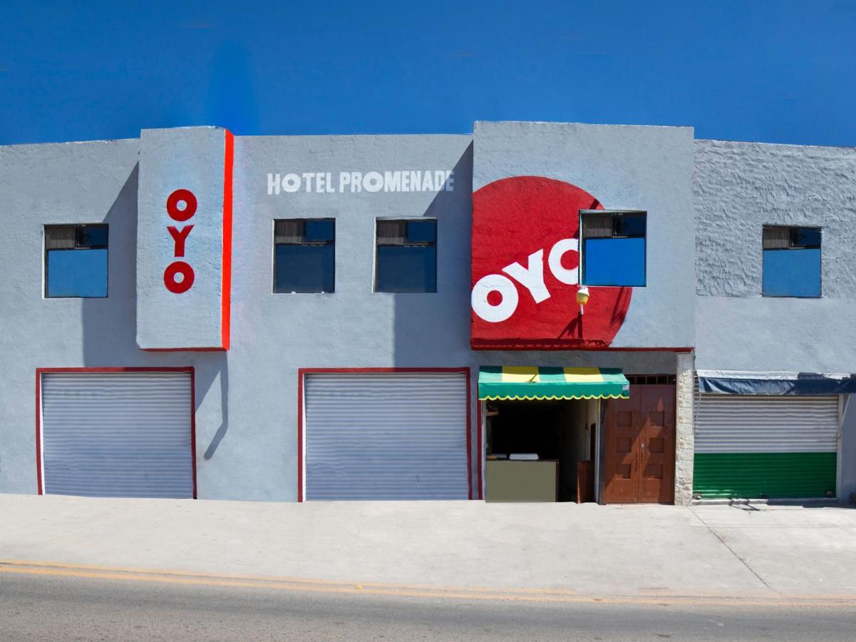 Oyo Promenade,Terminal Central De Autobuses De 과나후아토 외부 사진